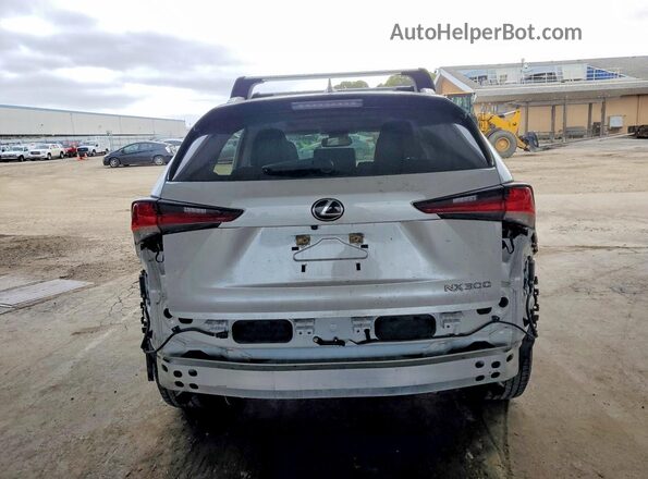 JTJDARDZ5L5002519 2020 LEXUS NX Белый Вид сзади