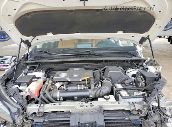 JTJDARDZ5L5002519 2020 LEXUS NX Белый Вид задней части салона
