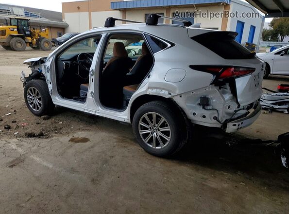 JTJDARDZ5L5002519 2020 LEXUS NX Белый Задняя левая четверть