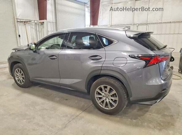 JTJDARDZ7L2225100 2020 LEXUS NX Серый Задняя левая четверть