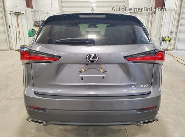 JTJDARDZ7L2225100 2020 LEXUS NX Серый Вид сзади