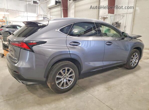 JTJDARDZ7L2225100 2020 LEXUS NX Серый Задняя правая четверть