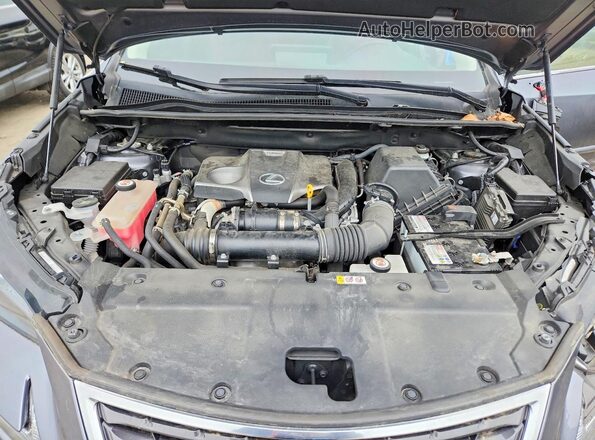 JTJDARDZ7M2238088 2021 LEXUS NX Gray Vista del compartimento del motor