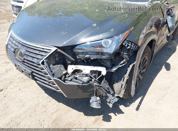 JTJDARDZXL2231490 2020 LEXUS NX 300 Черный Вид спереди