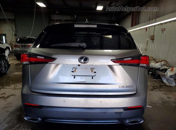 JTJDARDZXM2248212 2021 LEXUS NX Silver Widok z tyłu
