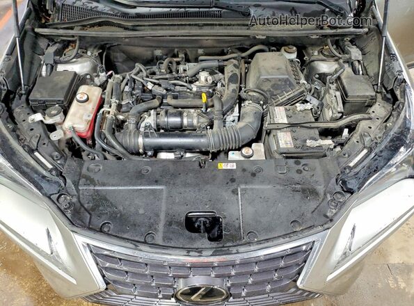 JTJDARDZXM2248212 2021 LEXUS NX Silver Widok wnętrza z tyłu