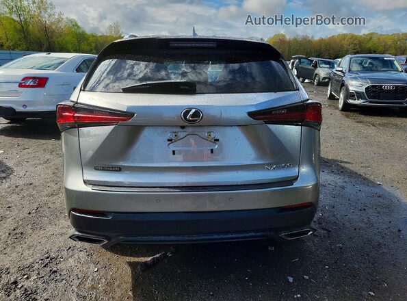 JTJGARDZ3M2242202 2021 LEXUS NX Gray Vista trasera