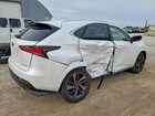 2020 Lexus Nx 300 White vin: JTJGARDZ9L2230571