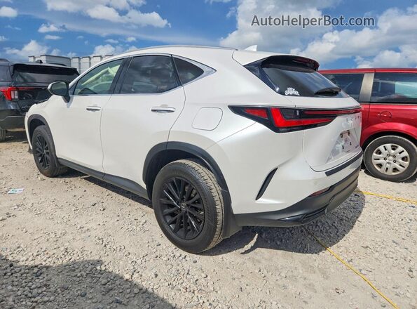 JTJGDCAZ2N5000719 2022 LEXUS NX Белый Задняя левая четверть