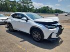 2023 Lexus Nx 250 Белый vin: JTJGDCAZ7P5012271