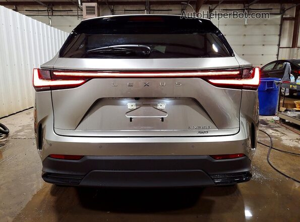 JTJGGCEZ7N5003360 2022 LEXUS NX Gray უკანა ხედი