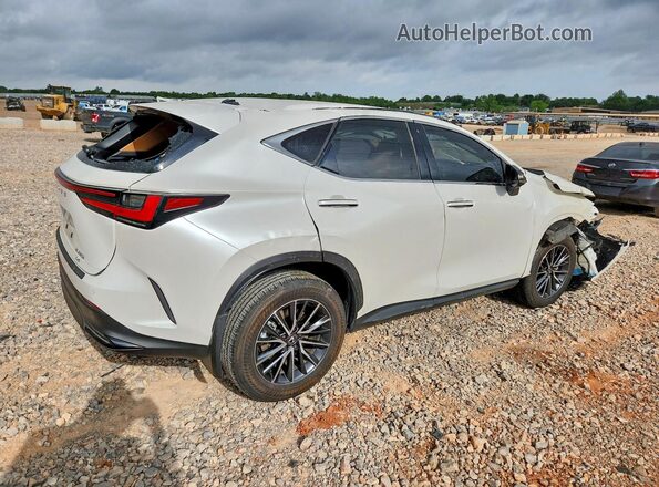 JTJGKCEZ1S2042070 2025 LEXUS NX White უკანა მარჯვენა