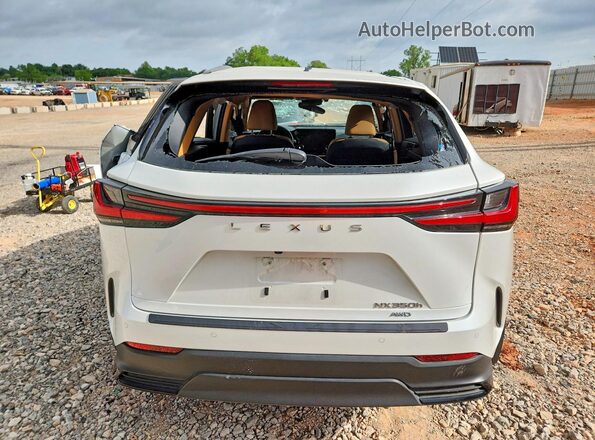 JTJGKCEZ1S2042070 2025 LEXUS NX White უკანა ხედი