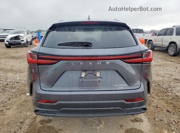 JTJGKCEZ2S5035305 2025 LEXUS NX Black Вид ззаду
