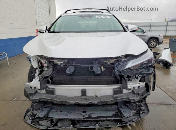 JTJGKCEZ6R5013866 2024 LEXUS NX White Вид спереду