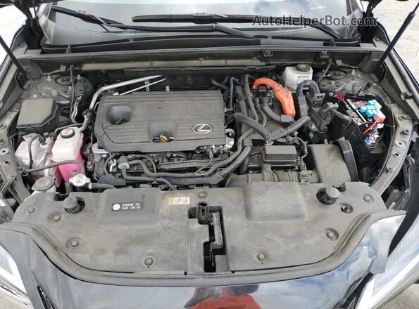 JTJGKCEZ9R5019516 2024 LEXUS NX Black Vista del compartimento del motor