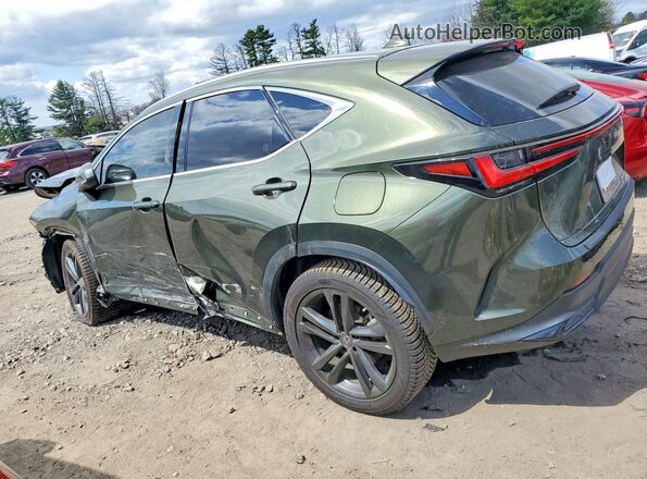 JTJHKCFZ3P2017570 2023 LEXUS NX Зеленый Задняя левая четверть