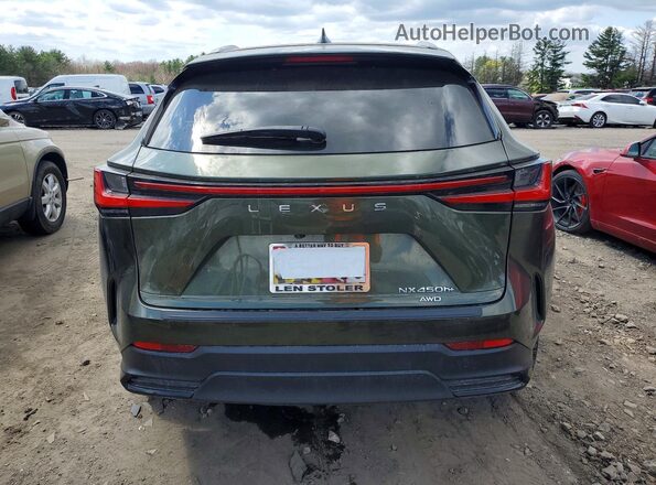 JTJHKCFZ3P2017570 2023 LEXUS NX Зеленый Вид сзади