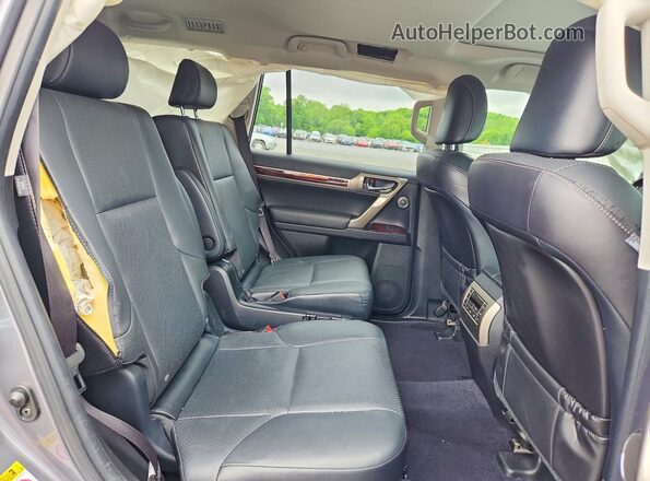JTJJM7FX1H5154931 2017 LEXUS GX Серый Вид задней части салона