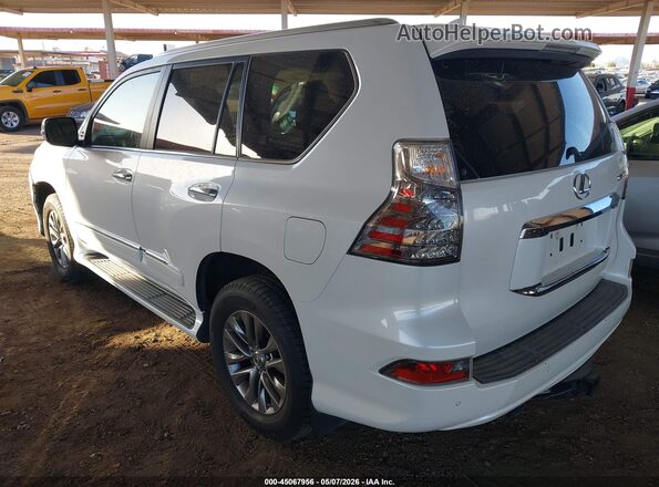 JTJJM7FX9G5122016 2016 LEXUS GX 460 Белый Задняя левая четверть