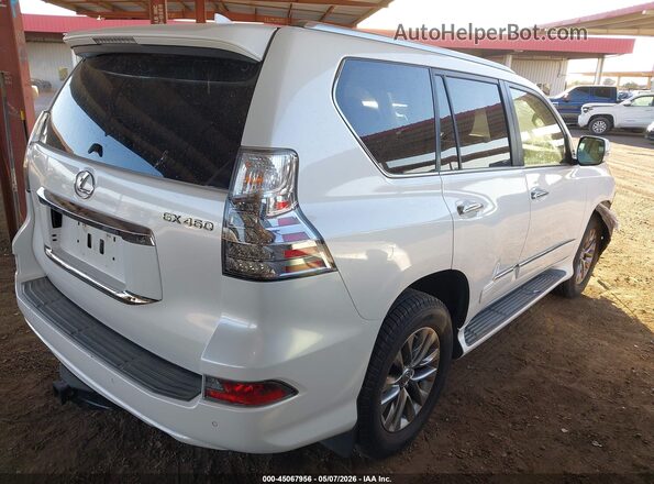 JTJJM7FX9G5122016 2016 LEXUS GX 460 Белый Задняя правая четверть