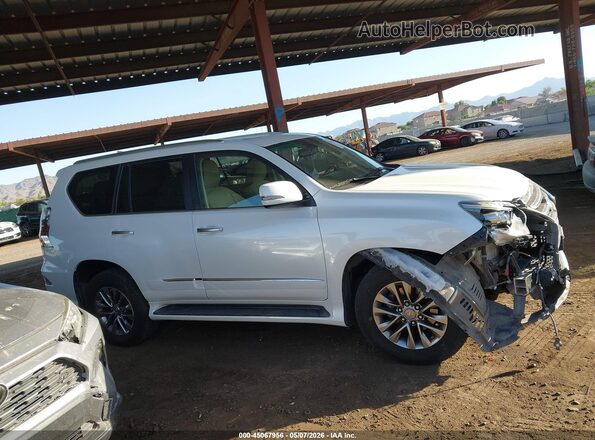 JTJJM7FX9G5122016 2016 LEXUS GX 460 Белый Вид задней части салона