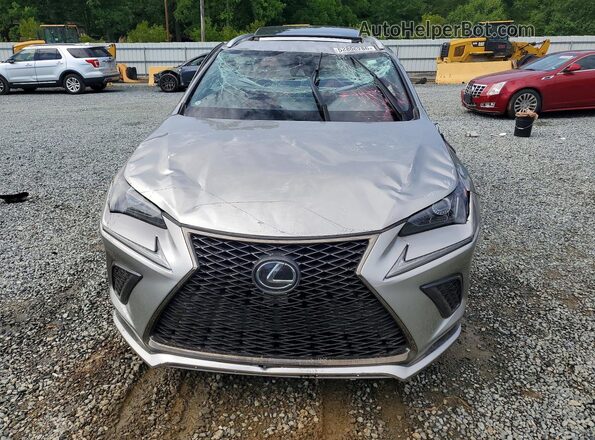 JTJSARBZ0L2176140 2020 LEXUS NX Silver Vista frontal