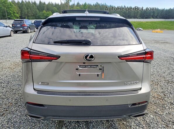 JTJSARBZ0L2176140 2020 LEXUS NX Silver Vista trasera