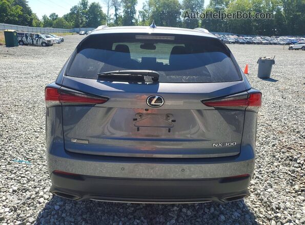 JTJSARBZ0M2201670 2021 LEXUS NX Gray Rear view