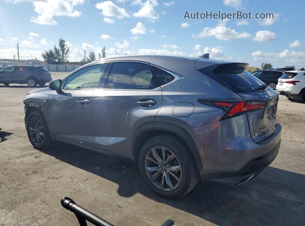 JTJSARBZ3L5009611 2020 LEXUS NX Gray Trasero izquierdo
