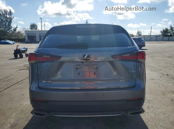 JTJSARBZ3L5009611 2020 LEXUS NX Gray Vista trasera