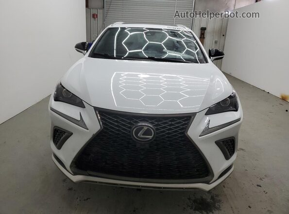 JTJSARBZ6M2200829 2021 LEXUS NX White 