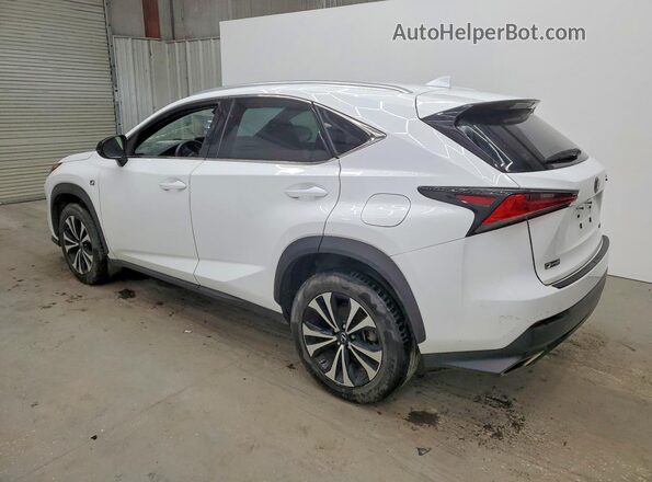 JTJSARBZ6M2200829 2021 LEXUS NX White Rear left