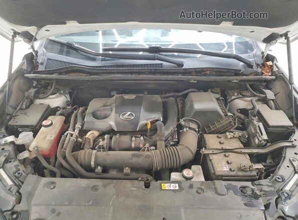 JTJSARBZ6M2200829 2021 LEXUS NX White Engine compartment view