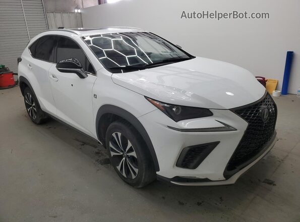 JTJSARBZ6M2200829 2021 LEXUS NX White 