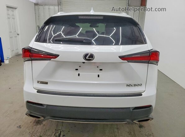 JTJSARBZ6M2200829 2021 LEXUS NX White Rear view