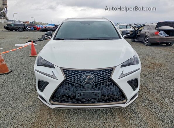 JTJSARBZ9M2180253 2021 LEXUS NX White Widok z przodu