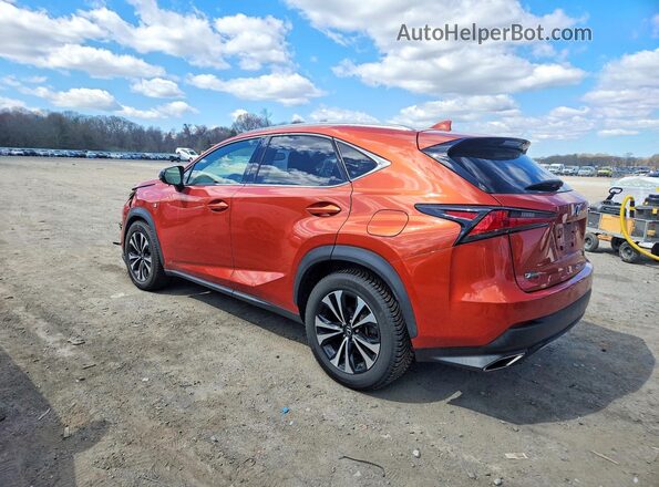 JTJSARDZ0L2223387 2020 LEXUS NX Orange Задня ліва чверть