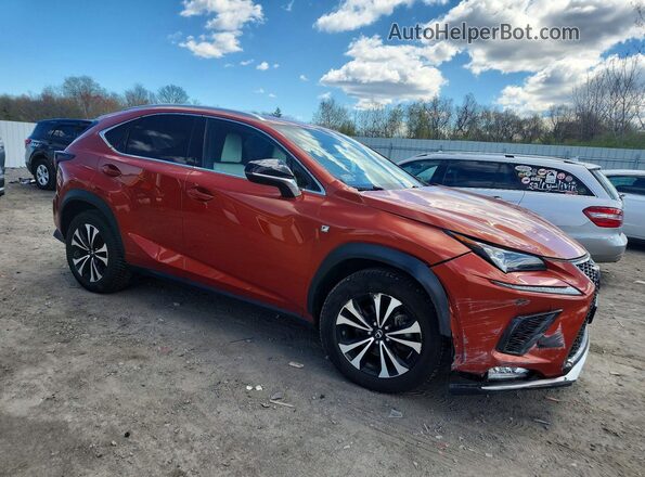 JTJSARDZ0L2223387 2020 LEXUS NX Orange Передня права чверть