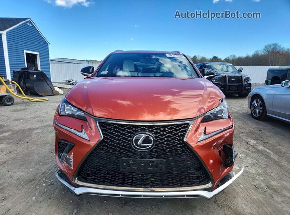 JTJSARDZ0L2223387 2020 LEXUS NX Orange Вид спереду