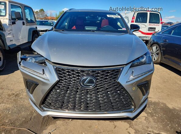 JTJSARDZ6L5009311 2020 LEXUS NX Gray Front view