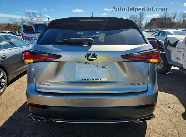 JTJSARDZ6L5009311 2020 LEXUS NX Gray Rear view