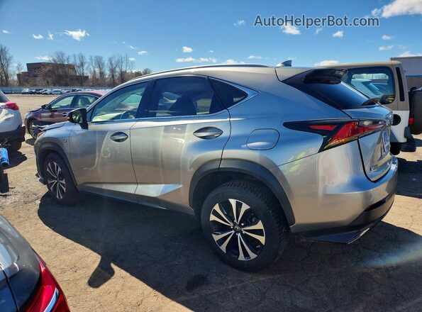JTJSARDZ6L5009311 2020 LEXUS NX Gray Rear left
