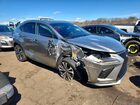 2020 Lexus Nx 300 F Sport Gray vin: JTJSARDZ6L5009311