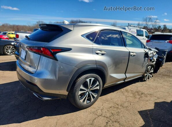 JTJSARDZ6L5009311 2020 LEXUS NX Gray Rear right