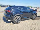 2020 Lexus Nx 300 F Sport Black vin: JTJSARDZ8L2230880 2020 Lexus Nx 300 F Sport Black vin: JTJSARDZ8L2230880