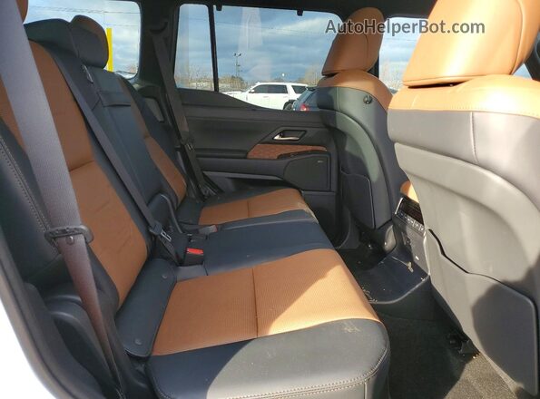 JTJVBCDX6S5058996 2025 LEXUS GX Белый Вид задней части салона