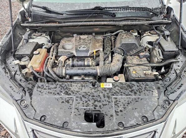 JTJYARBZ2G2045579 2016 LEXUS NX White Вид задньої частини салону
