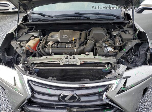 JTJYARBZ2H2067244 2017 LEXUS NX Серебряный Вид задней части салона