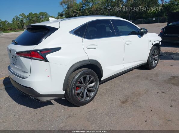 JTJYARBZ2J2102032 2018 LEXUS NX 300 Белый Задняя правая четверть